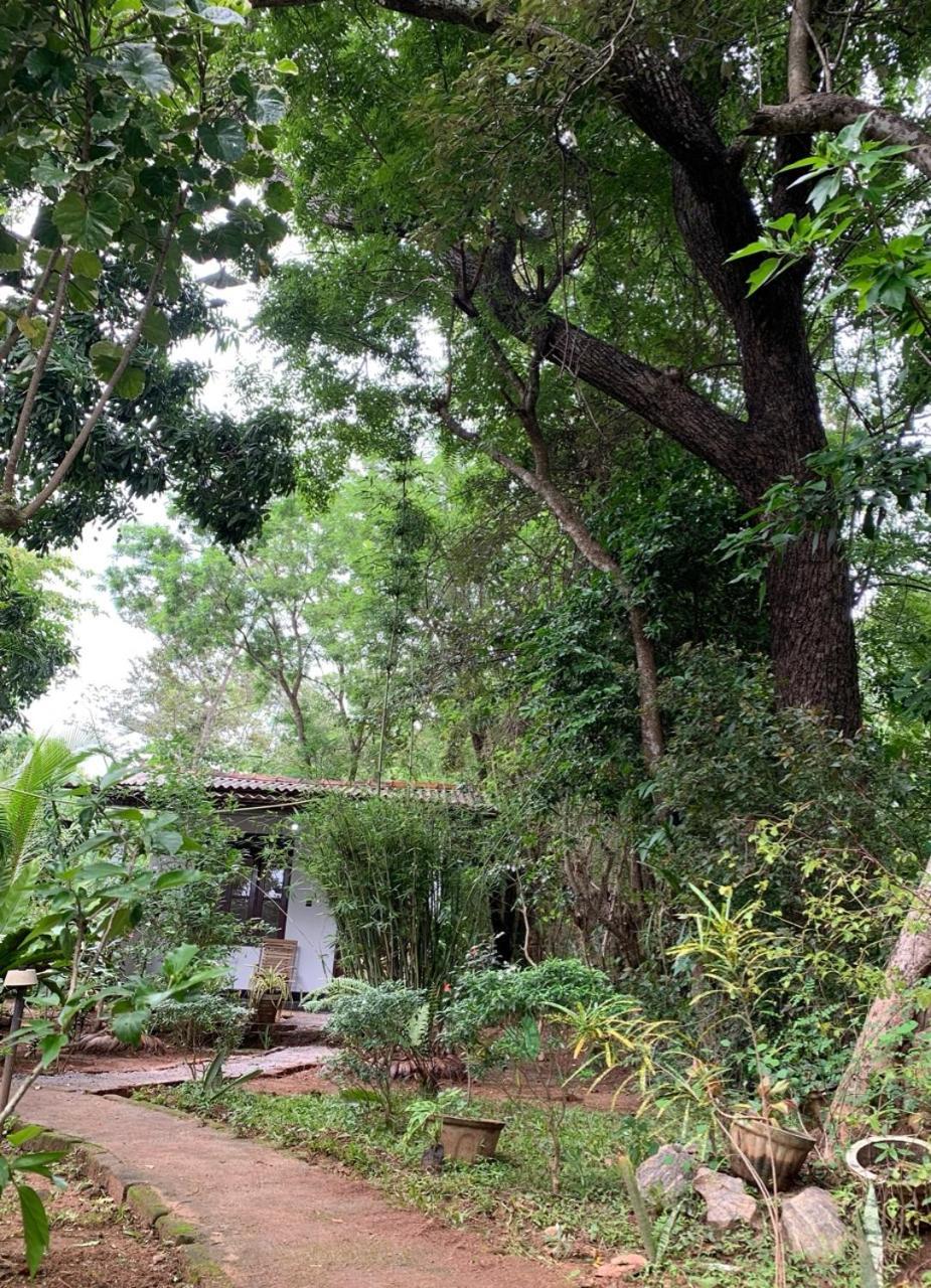 Manju Homestay Sigiriya Exterior foto